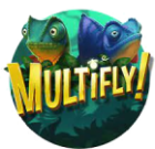 MultiFly!